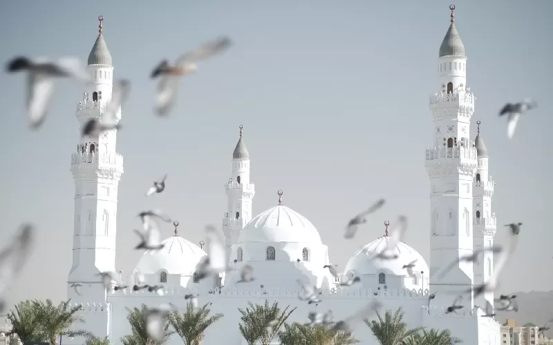 La Sacra Moschea di Quba a Medina